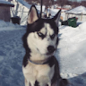 Meet your Posher, Iyat